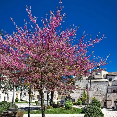 Bomboniera Di Cisternino